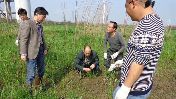 DSC02288_2345看图王.JPG