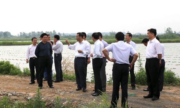 20150514173530249.jpg