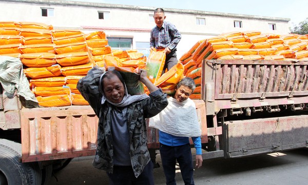 IMG_0742 - 副本.JPG