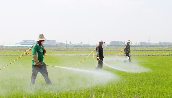 IMG_3048 - 副本.JPG