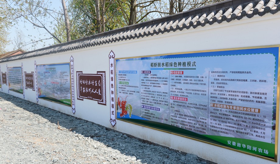 图4文化墙.JPG