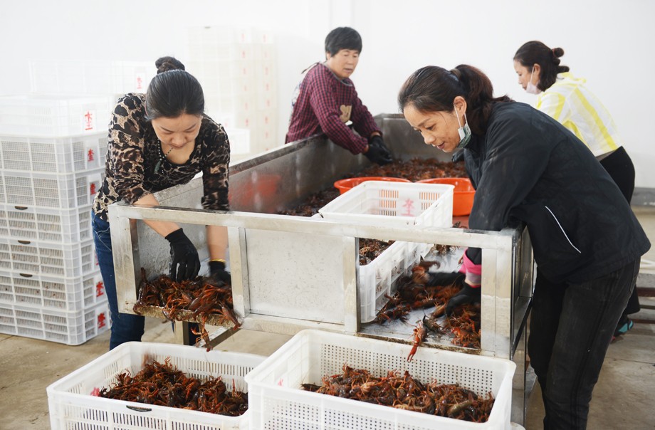 1分拣.JPG
