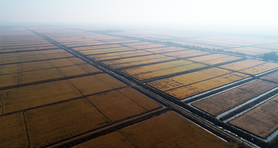 DJI_0302.JPG