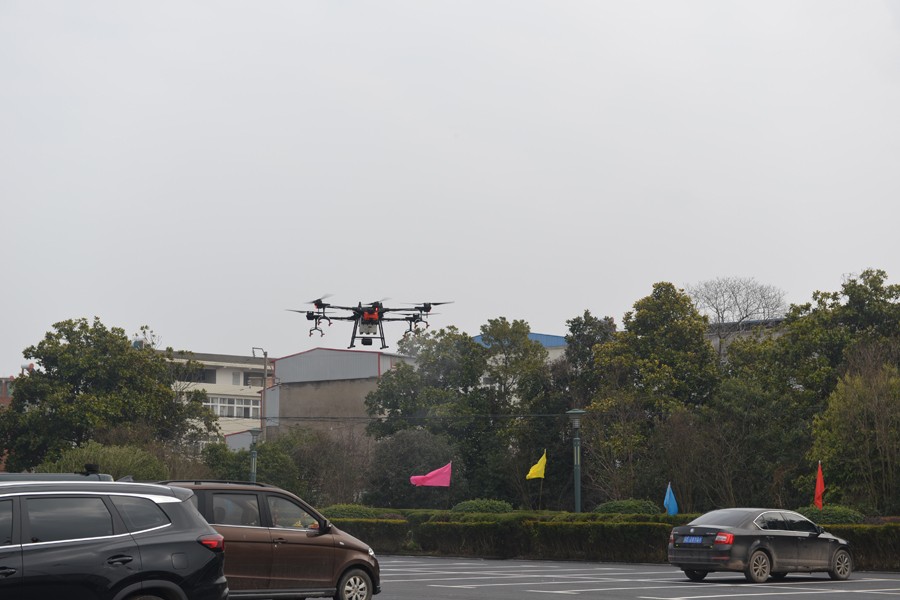DSC_8514.JPG