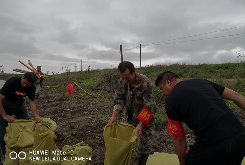 四场湖堤防汛.jpg