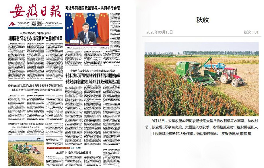 秋收.jpg
