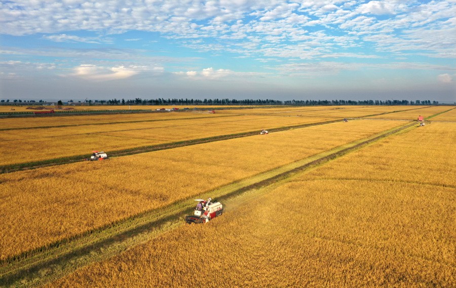 DJI_0308..jpg