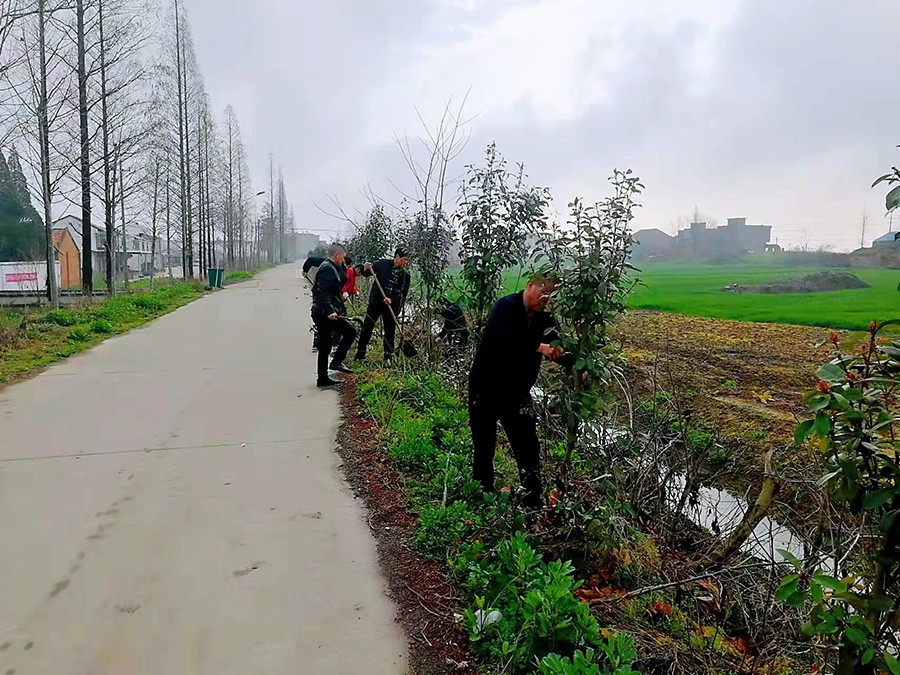四场：党员活动日开展环境卫生清理活动.jpg