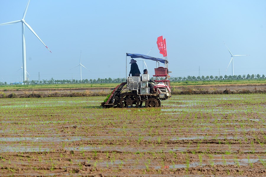 DSC_0515.JPG