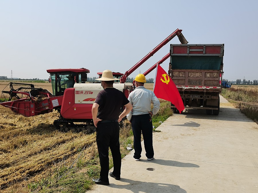 小麦收割.jpg