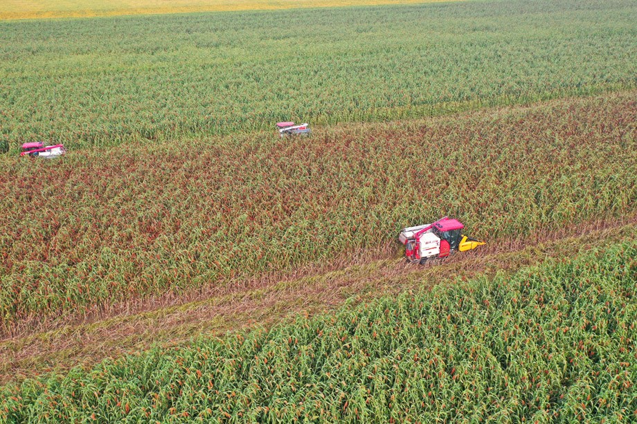 DJI_0008.JPG