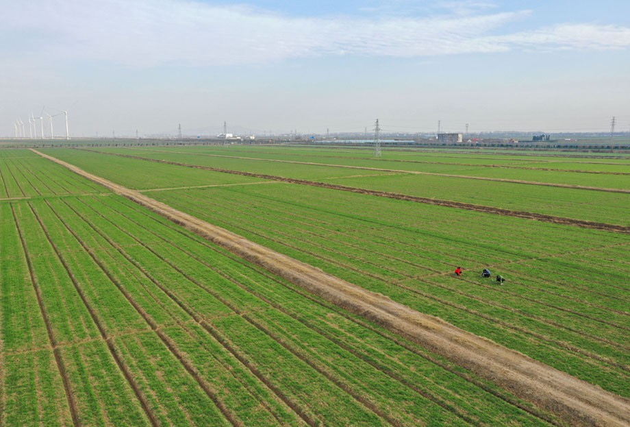 DJI_0011.JPG