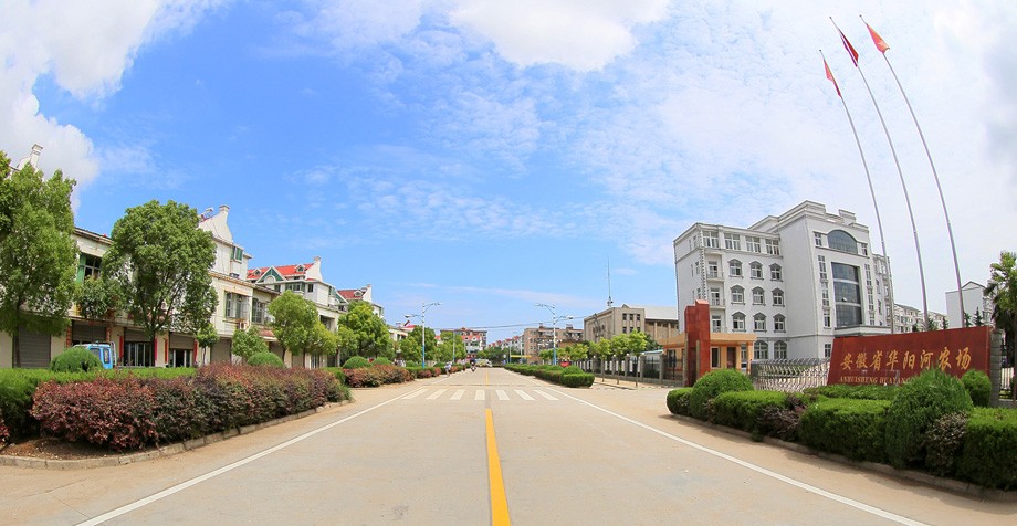 华阳河农场公司场区.JPG