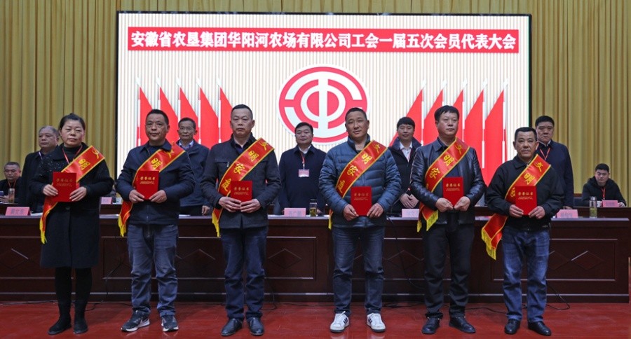 a92e2ab8748d5e78ba3221cda6b08ef.jpg