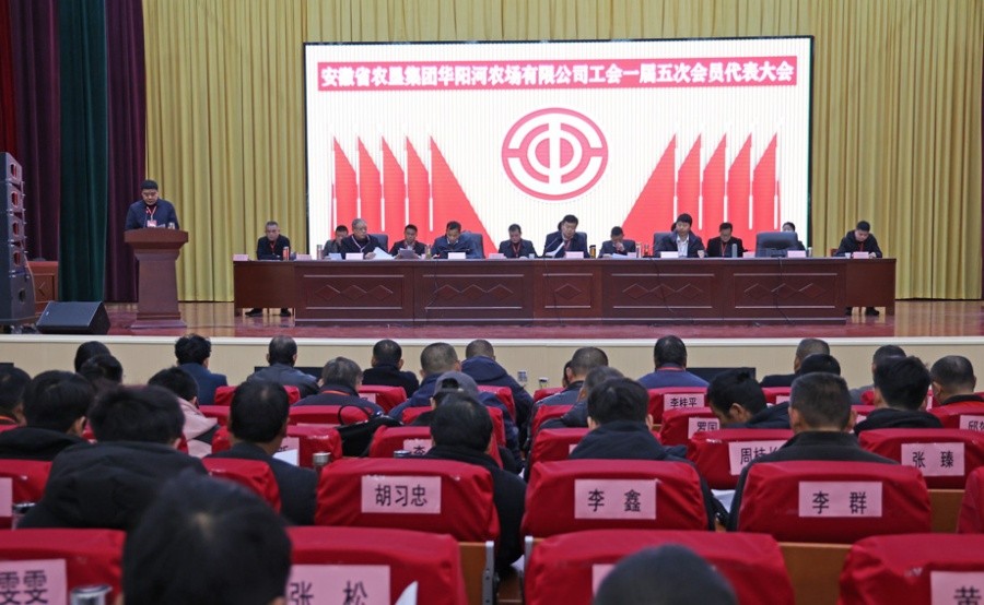 d42e80873b914808c595ec8e3caf152.jpg