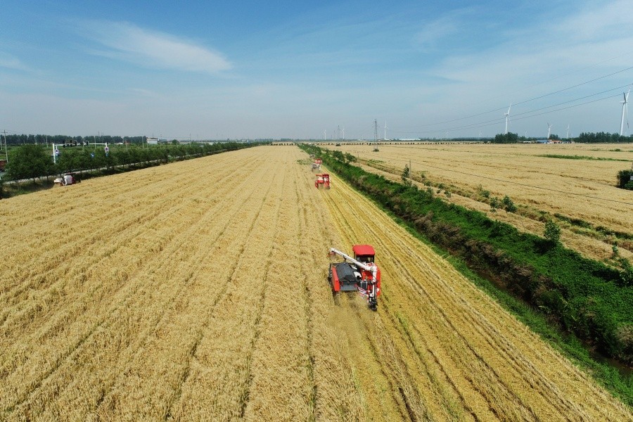 DJI_0413.JPG