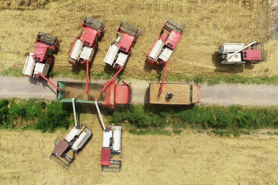 DJI_0443.JPG