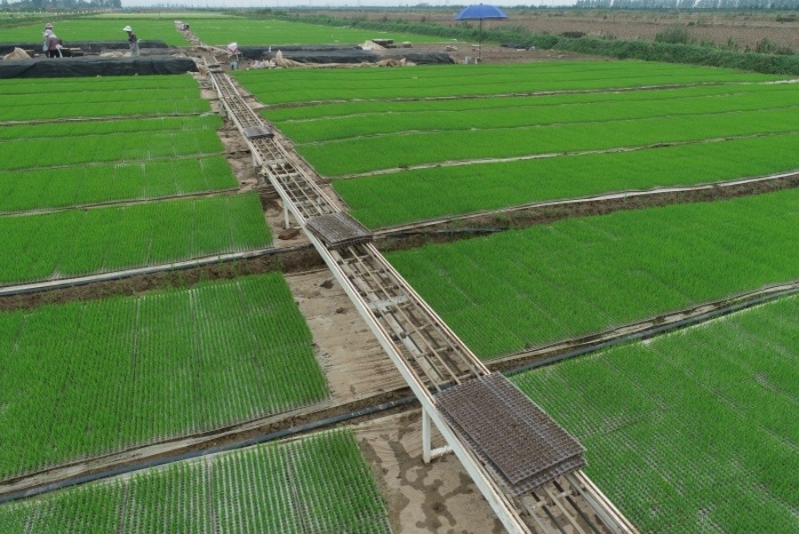 DJI_0459.JPG
