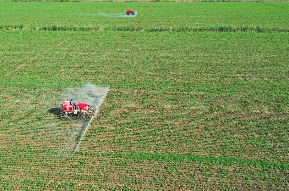 DJI_0070.JPG