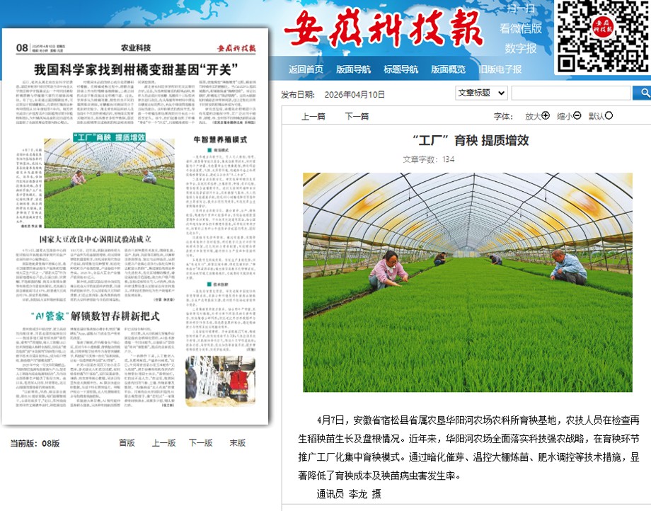 4.10安徽科技报.png