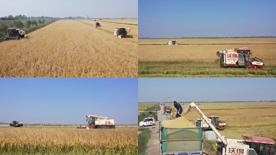 20261013080003531_WA6vViJl.jpg